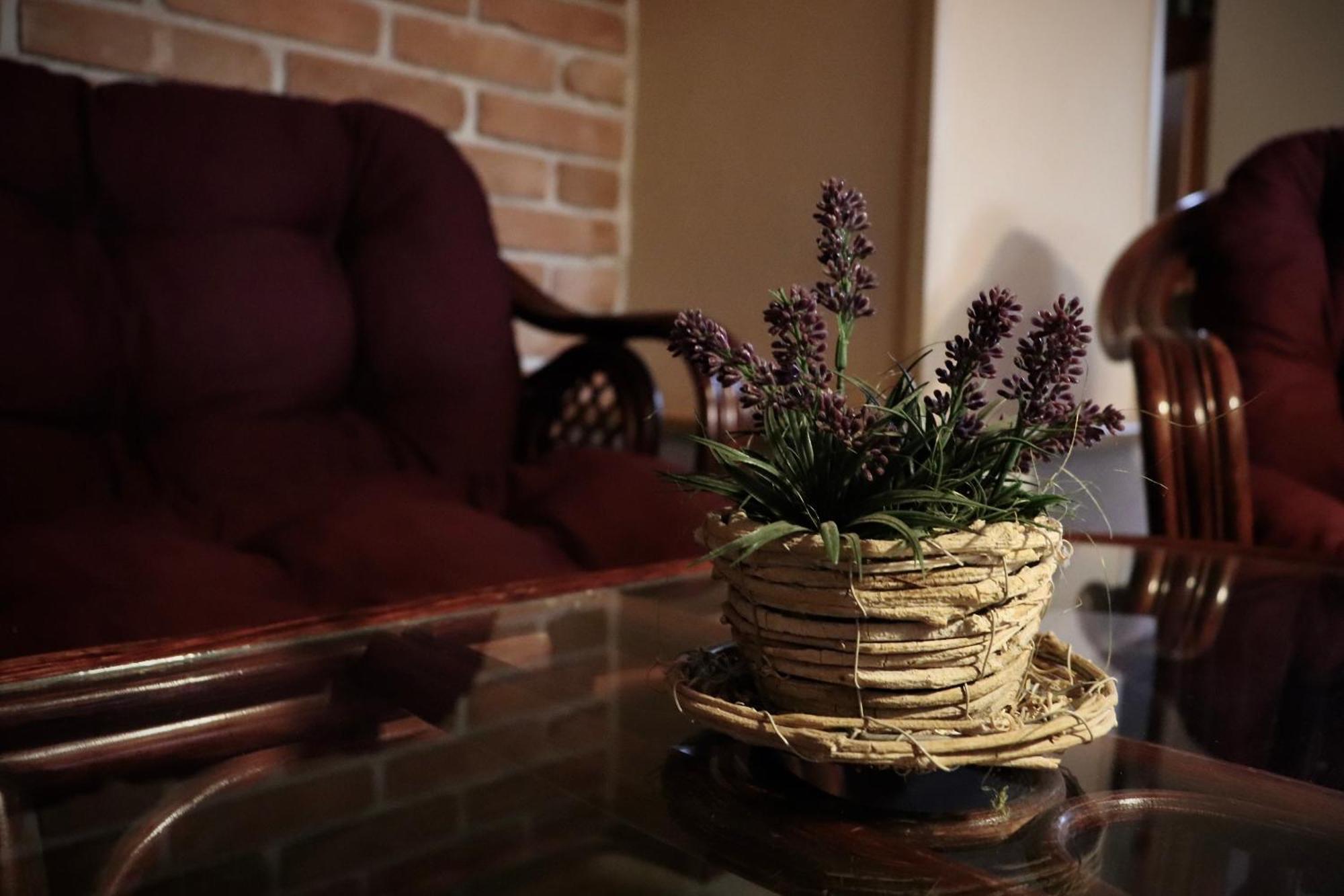 Pension Aura Špičák Železná Ruda Exterior foto